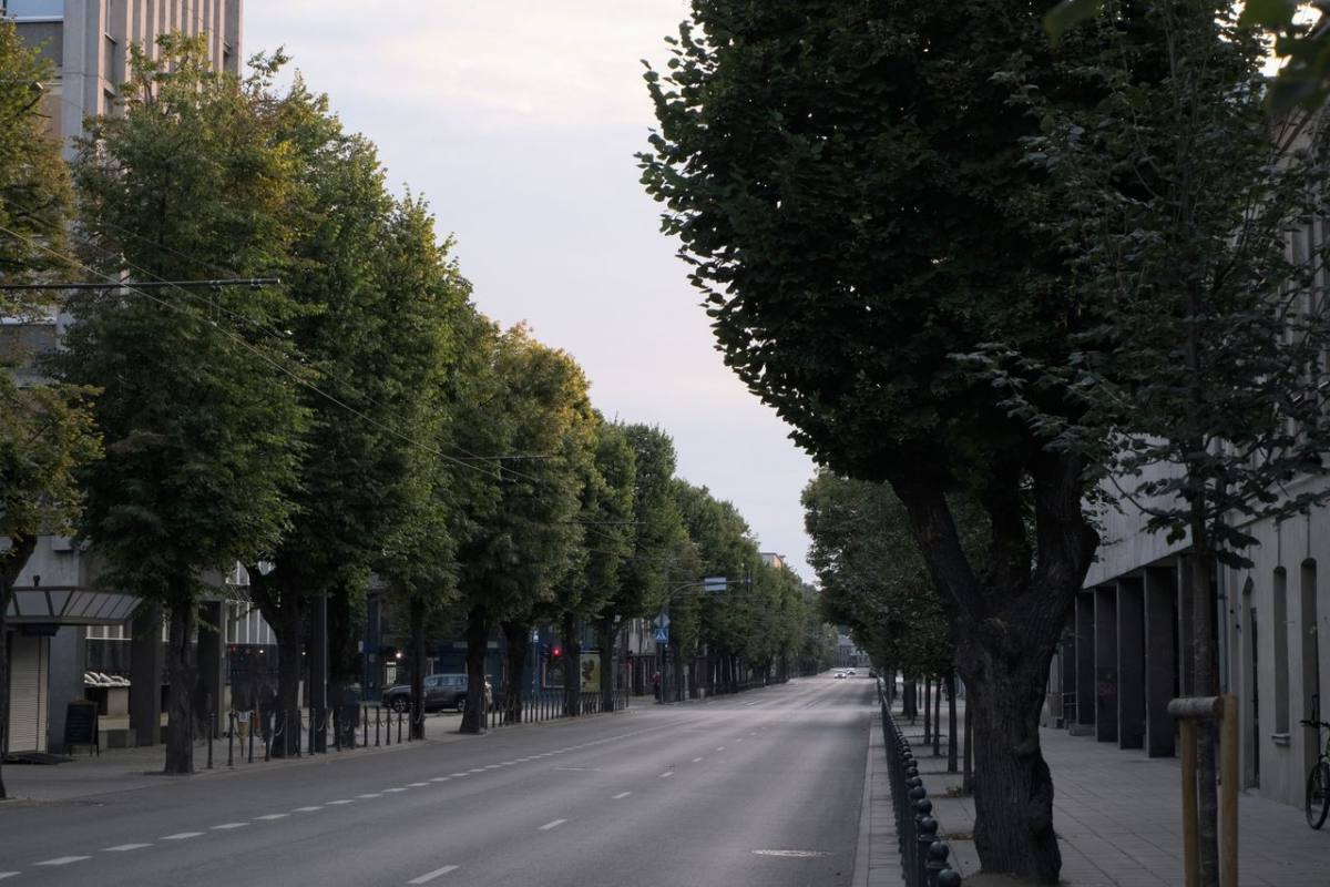 Patarimai įmonėms dėl reklamos Kaune